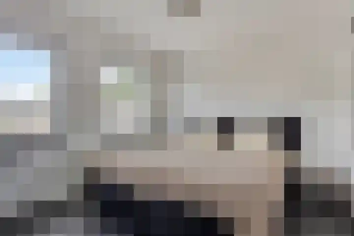 Schellingstede 2 Cuijk thumbnail 16