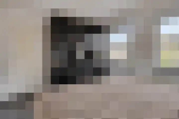 Schellingstede 2 Cuijk thumbnail 17