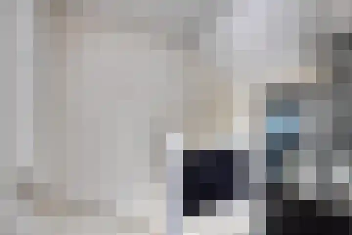 Schellingstede 2 Cuijk thumbnail 24