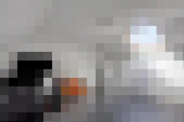 Schellingstede 2 Cuijk thumbnail 25