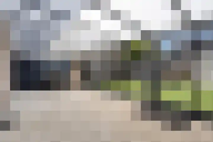 Schellingstede 2 Cuijk thumbnail 26