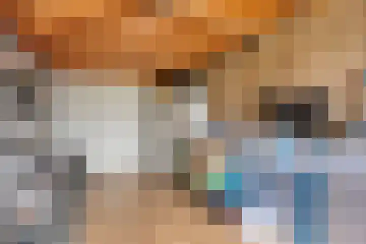 Schellingstede 2 Cuijk thumbnail 29