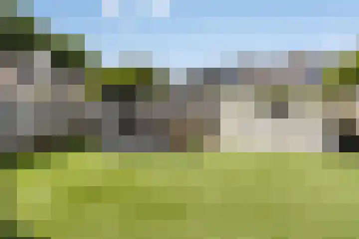Schellingstede 2 Cuijk thumbnail 32