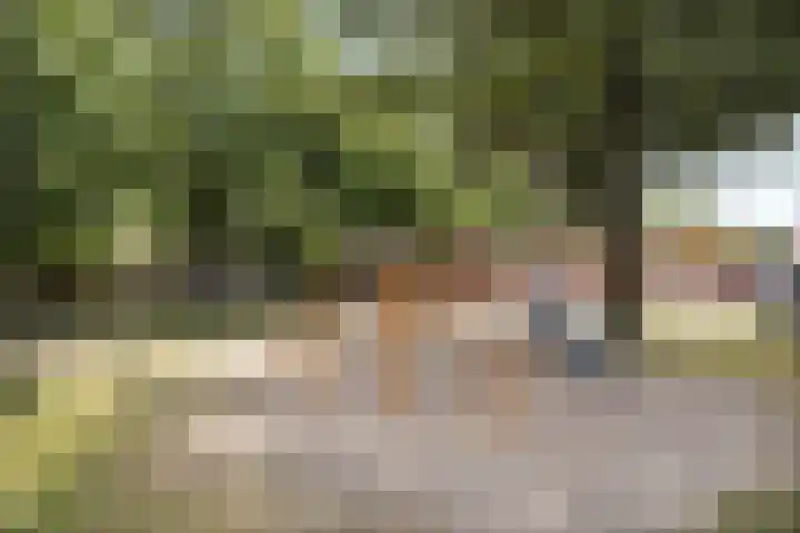 Schellingstede 2 Cuijk thumbnail 33