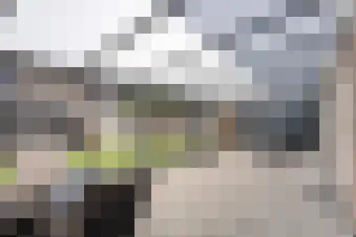 Schellingstede 2 Cuijk thumbnail 4
