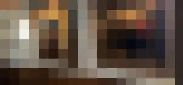 Schellingwouderdijk 420 Amsterdam thumbnail 13
