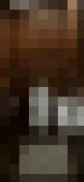 Schellingwouderdijk 420 Amsterdam thumbnail 9