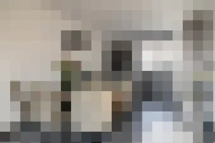 Schelp 45 Katwijk thumbnail 19