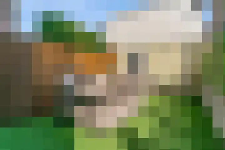 Schelpenkade 59 Leiden thumbnail 4