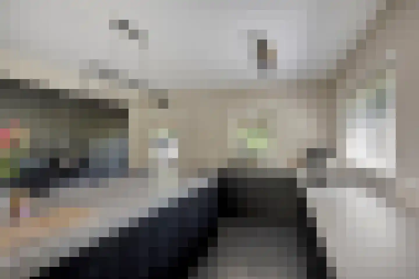 Schelpweg 1 a Ellemeet thumbnail 10