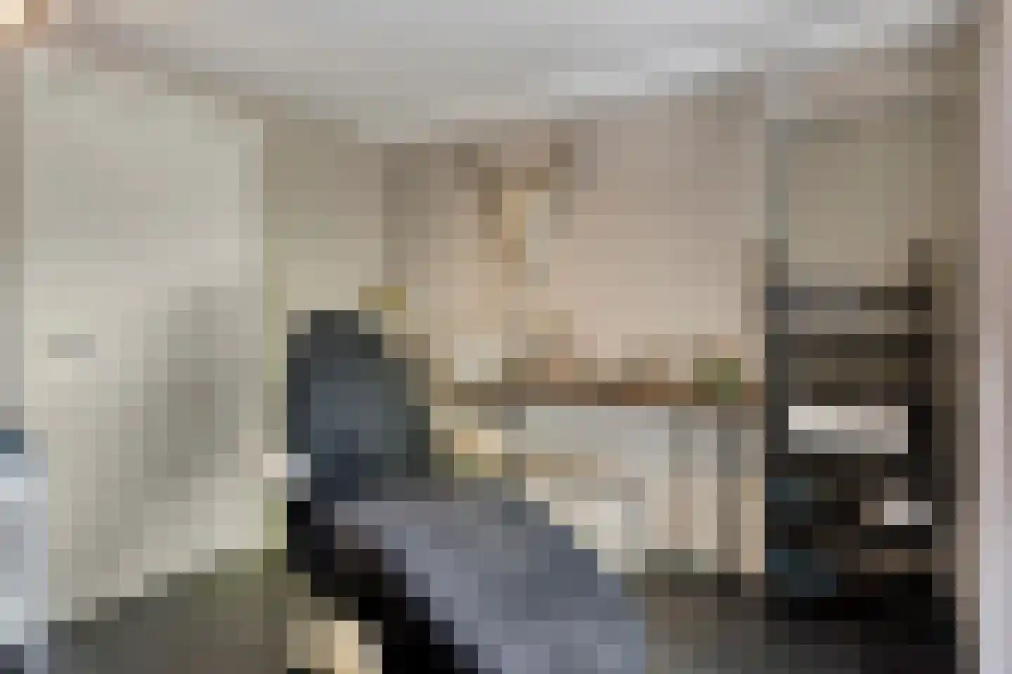 Schelpweg 1 a Ellemeet thumbnail 13
