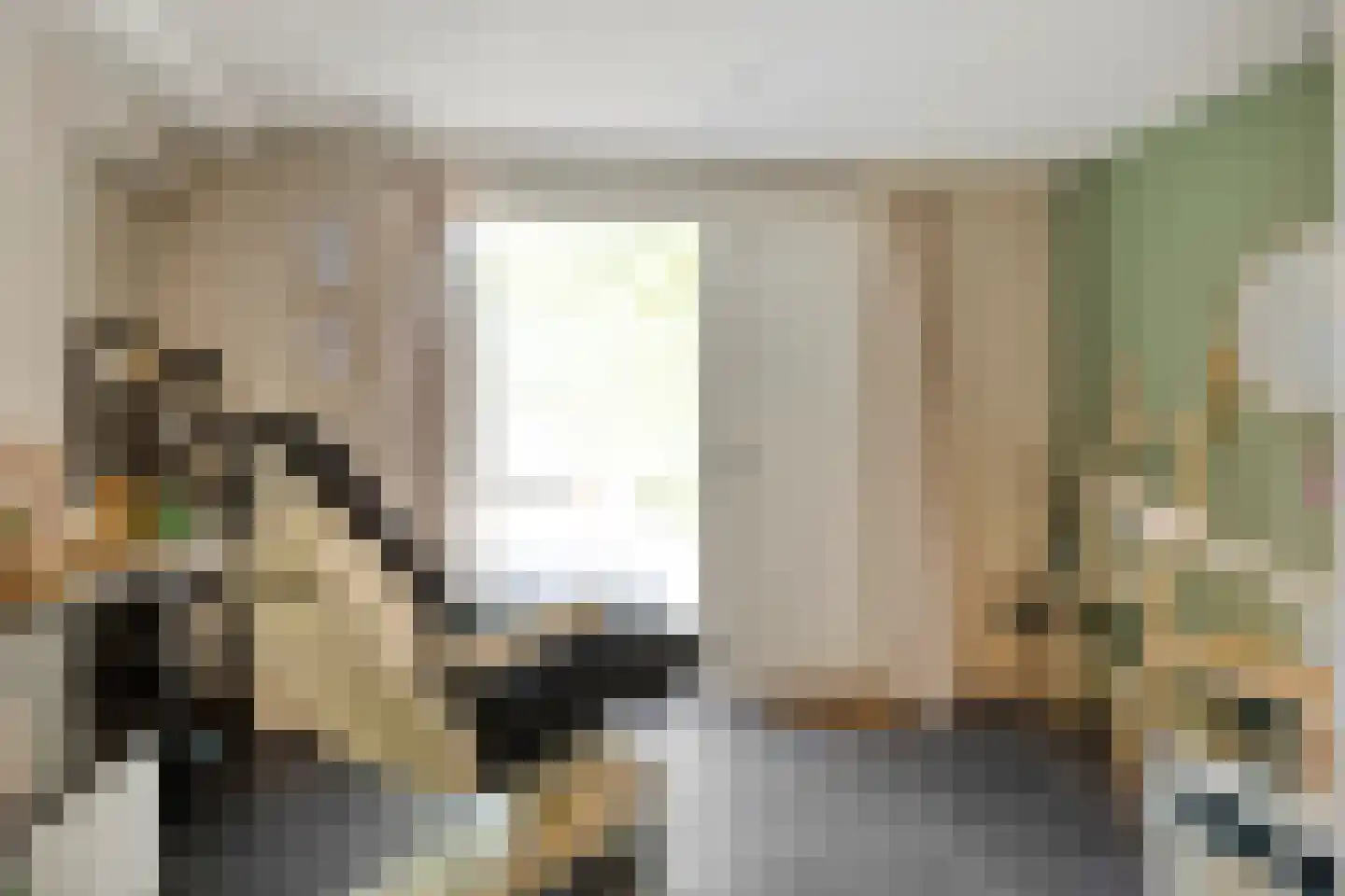 Schelpweg 1 a Ellemeet thumbnail 14
