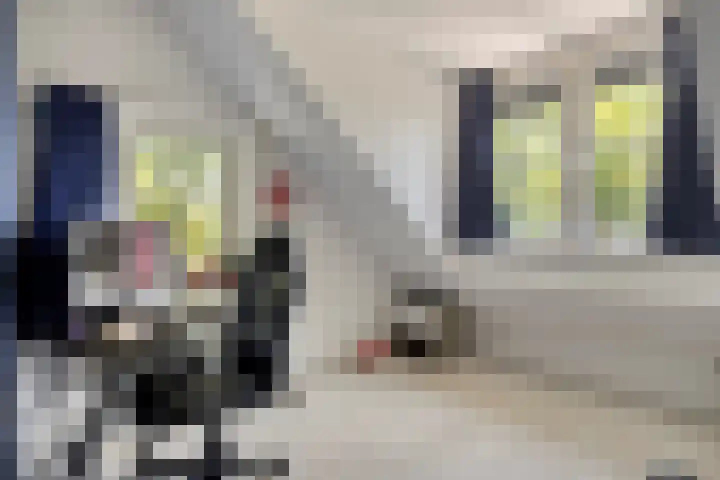 Schelpweg 1 a Ellemeet thumbnail 22