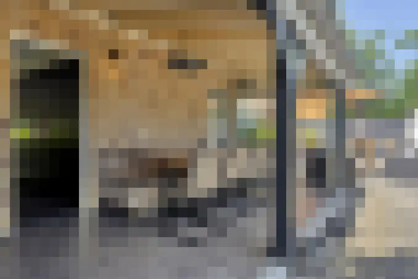 Schelpweg 1 a Ellemeet thumbnail 24
