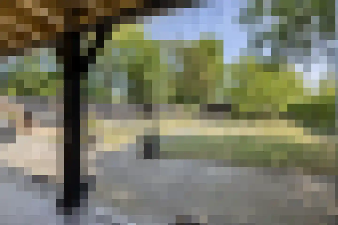 Schelpweg 1 a Ellemeet thumbnail 25