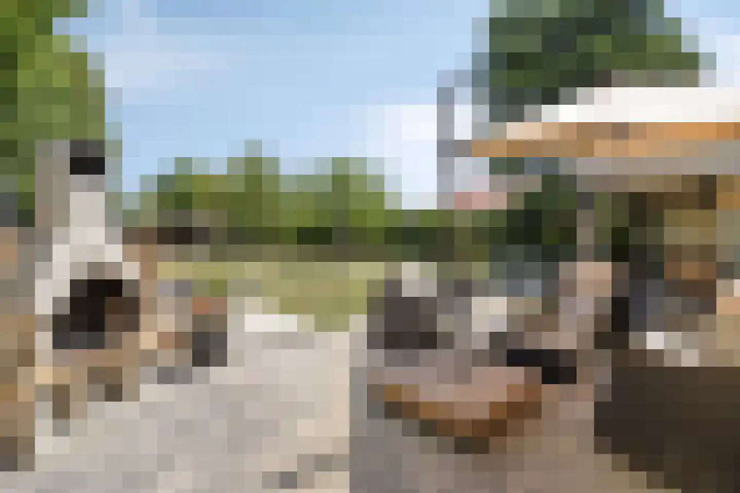Schelpweg 1 a Ellemeet thumbnail 29