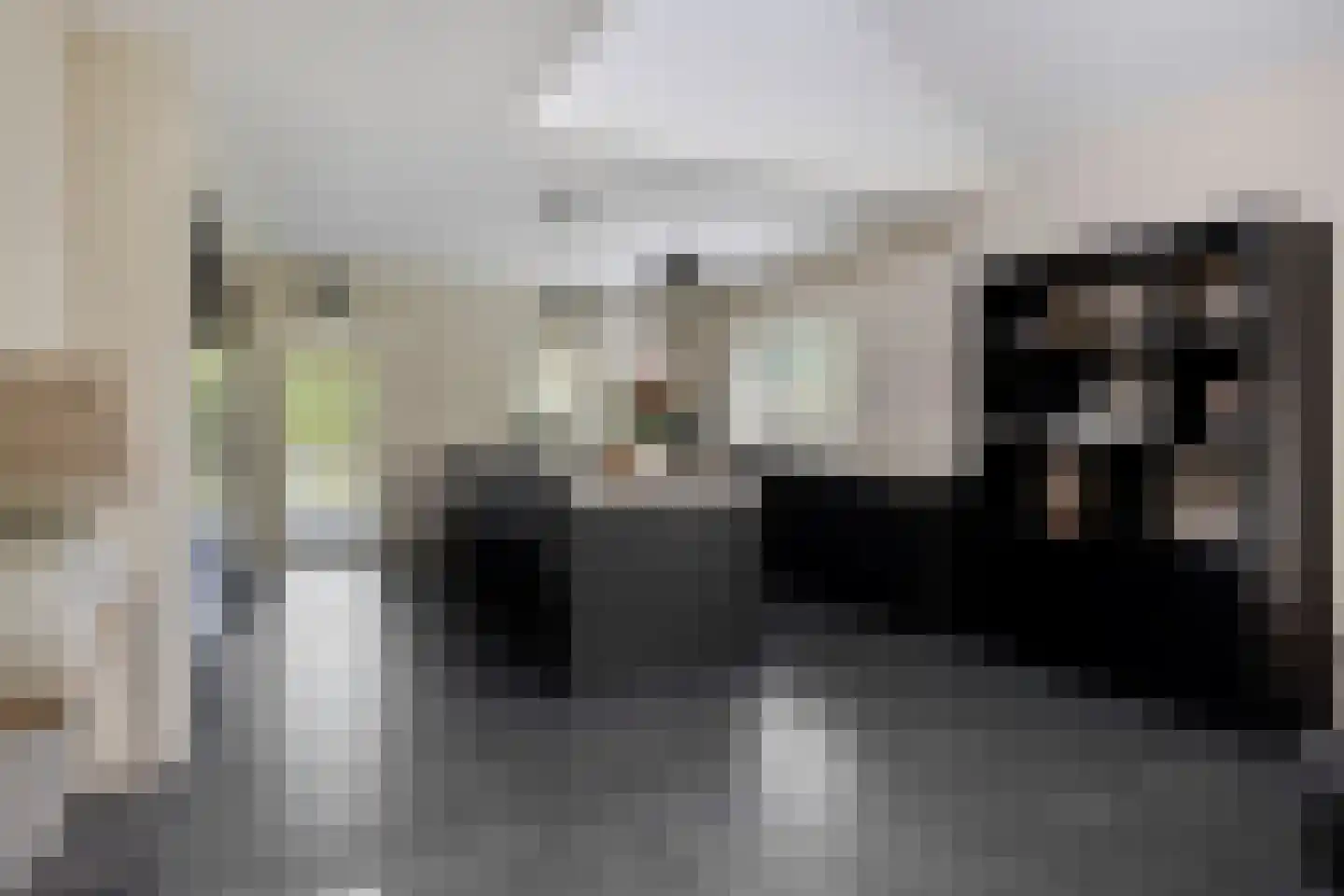 Schelpweg 1 a Ellemeet thumbnail 6