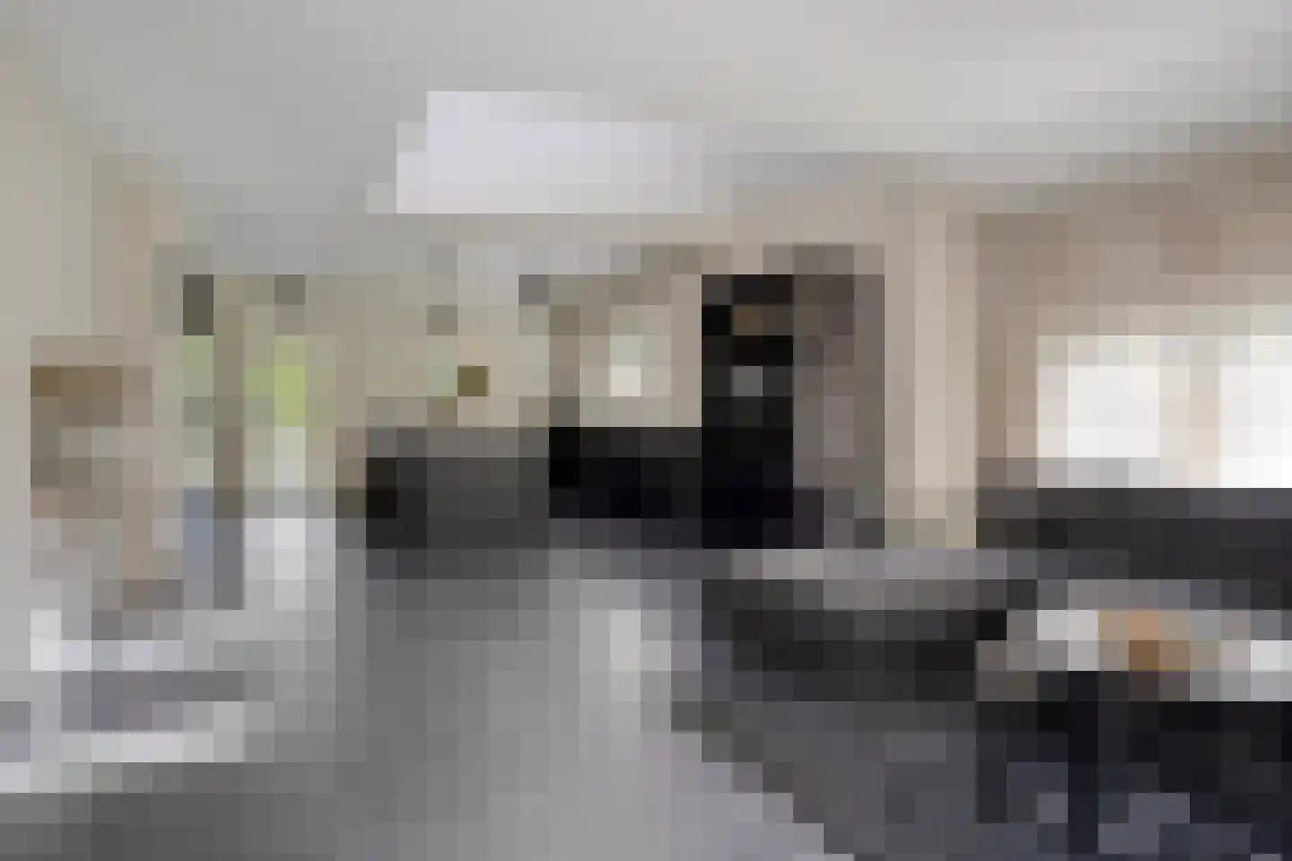 Schelpweg 1 a Ellemeet thumbnail 8