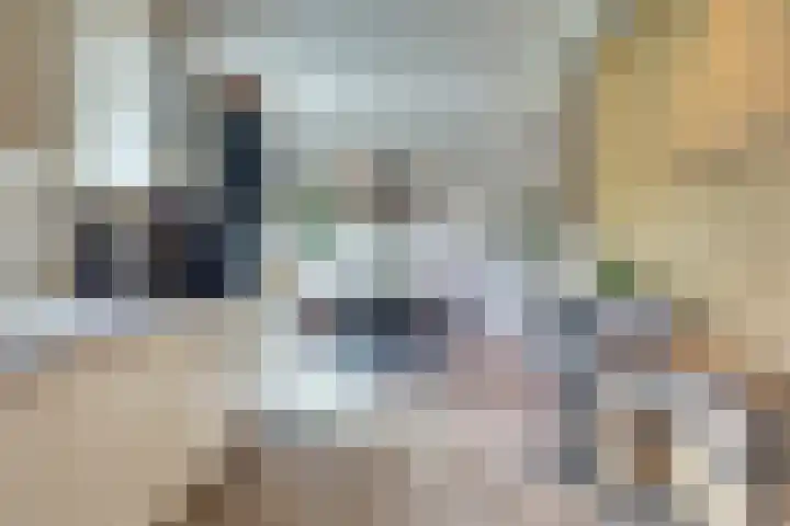 Schelpweg 21 Ellemeet thumbnail 15