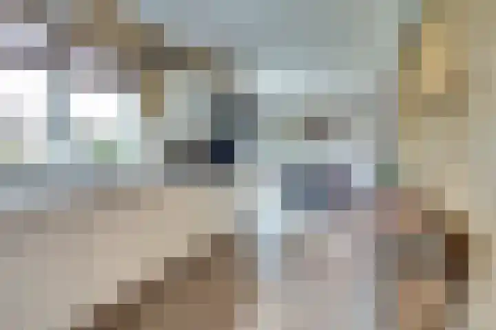 Schelpweg 21 Ellemeet thumbnail 18