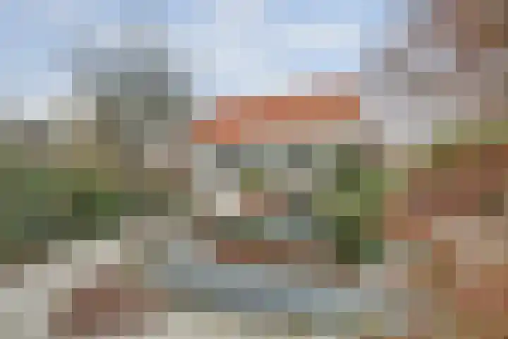 Schelpweg 21 Ellemeet thumbnail 34