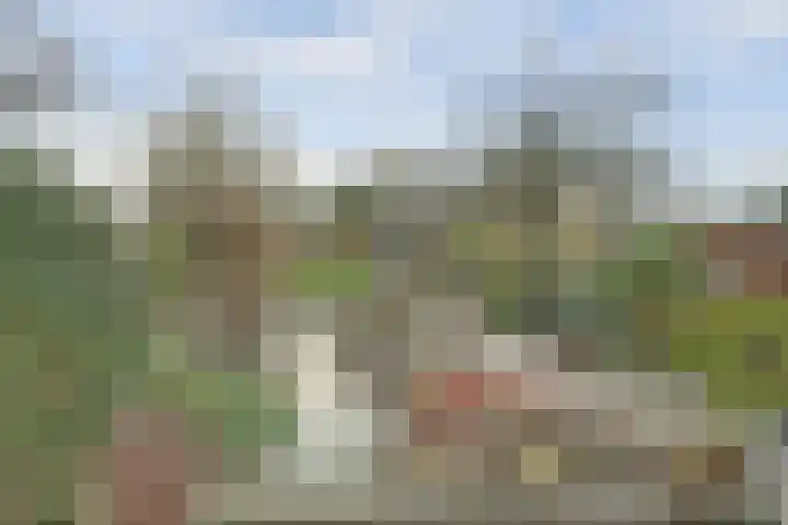 Schelpweg 21 Ellemeet thumbnail 37