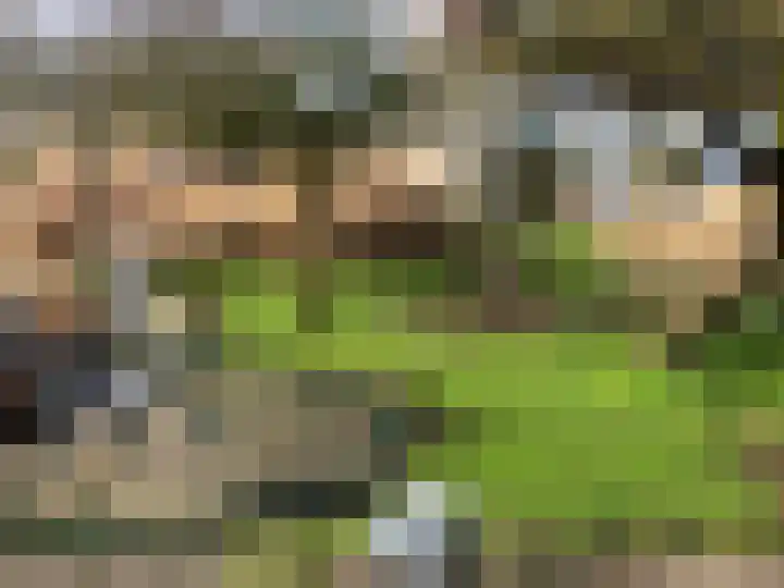 Schelpweg 21 Ellemeet thumbnail 39