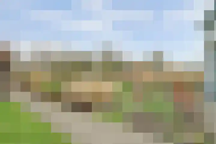 Schelpweg 21 Ellemeet thumbnail 47