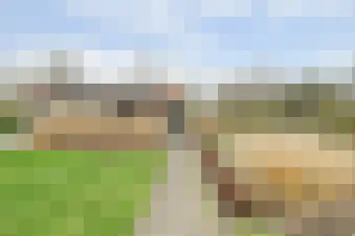 Schelpweg 21 Ellemeet thumbnail 49