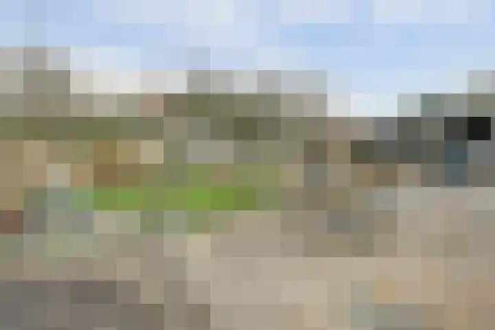 Schelpweg 21 Ellemeet thumbnail 51