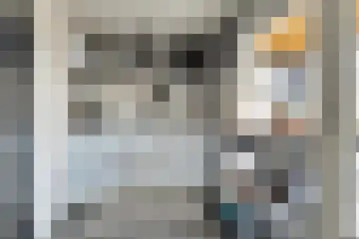 Schelpweg 21 Ellemeet thumbnail 58