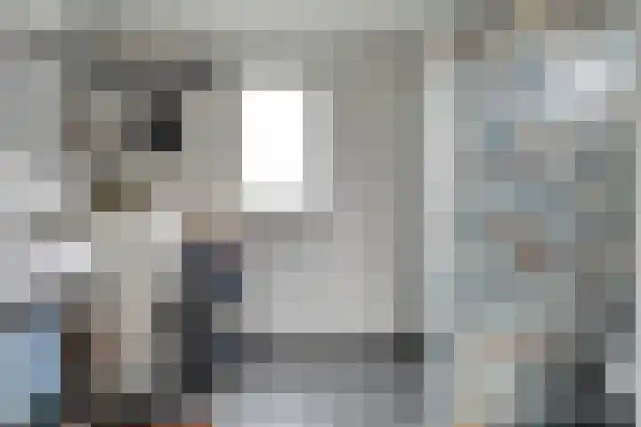Schelpweg 21 Ellemeet thumbnail 59