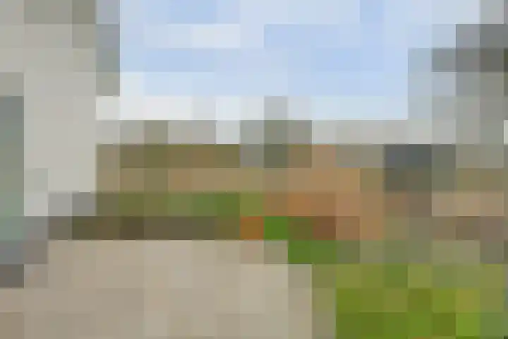 Schelpweg 21 Ellemeet thumbnail 64