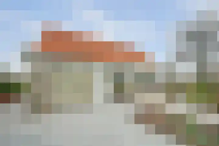 Schelpweg 21 Ellemeet thumbnail 66