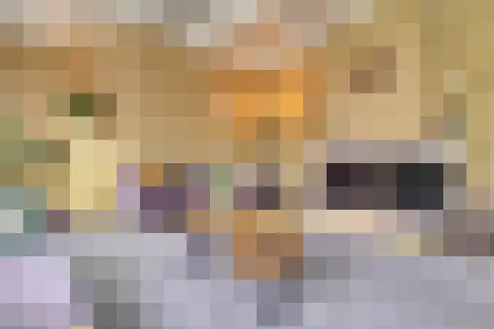 Schelpweg 21 Ellemeet thumbnail 8