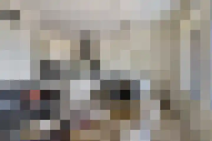 Schelpweg 2434 Domburg thumbnail 4