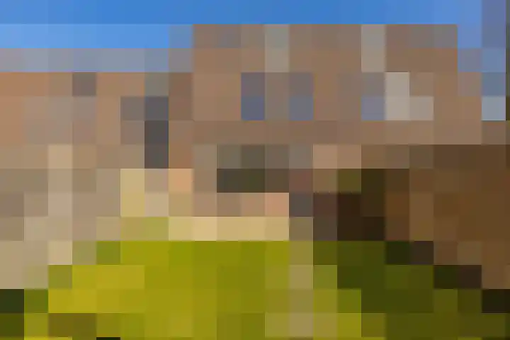 Scheltemaheerd 107 Groningen thumbnail 18