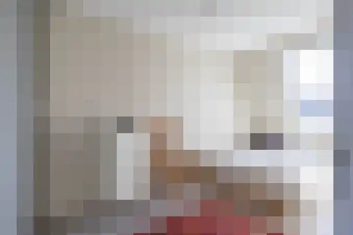 Scheltemaheerd 107 Groningen thumbnail 26