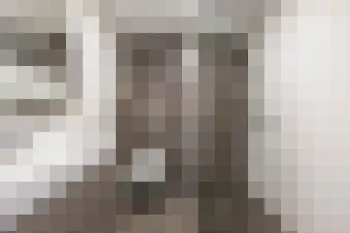 Scheltemaheerd 107 Groningen thumbnail 30