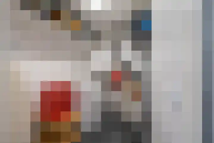 Scheltemaheerd 107 Groningen thumbnail 34