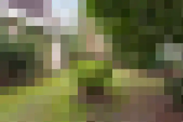 Scheltemalaan 37 Amersfoort thumbnail 25