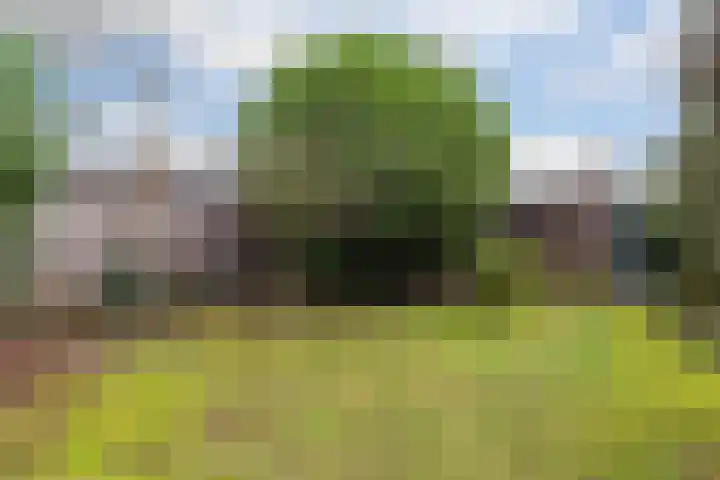 Scheltemalaan 37 Amersfoort thumbnail 31