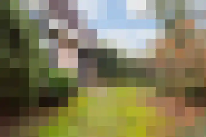 Scheltemalaan 37 Amersfoort thumbnail 32