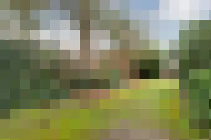 Scheltemalaan 37 Amersfoort thumbnail 34