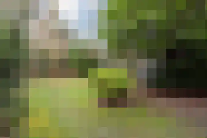 Scheltemalaan 37 Amersfoort thumbnail 5