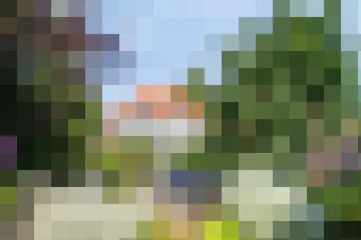 Scheltemalaan 79 Amersfoort thumbnail 17