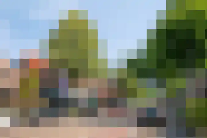 Scheltemalaan 79 Amersfoort thumbnail 27
