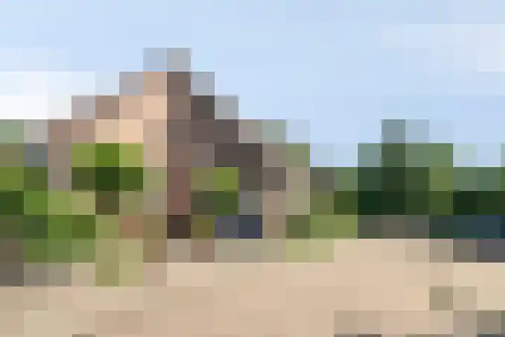 Scheltemalaan 79 Amersfoort thumbnail 7