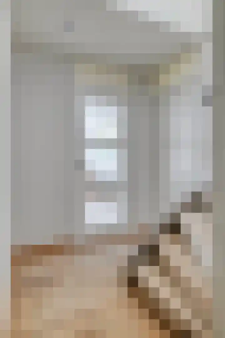 Scheltemalaan 79 Amersfoort thumbnail 9