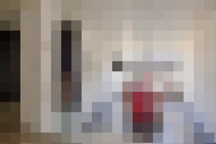 Schemperserf 65 Staphorst thumbnail 15